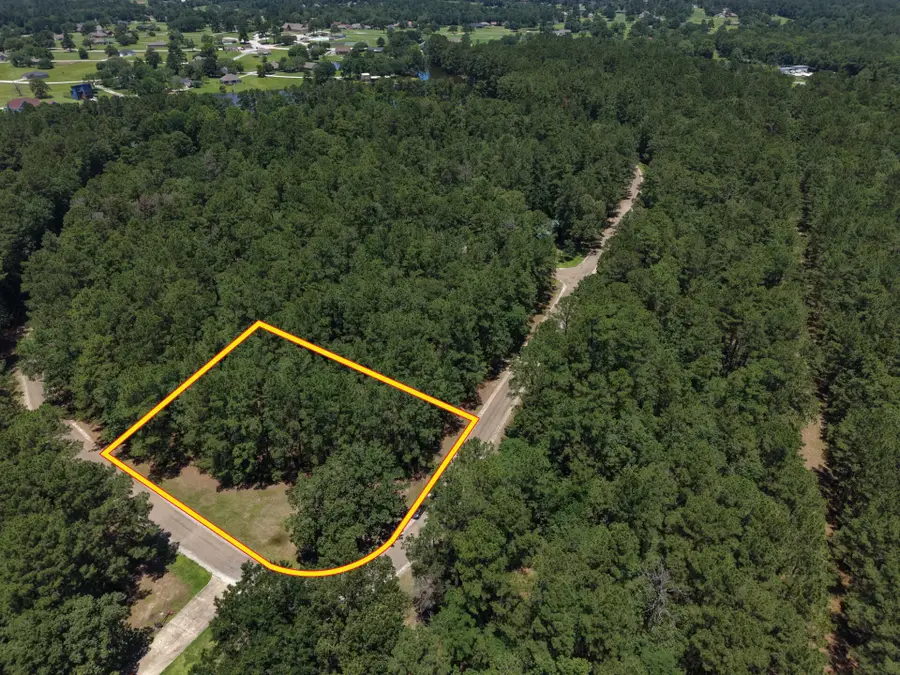 Lot 19 Bh Caroll Street, Trinity, TX 75862 - #2