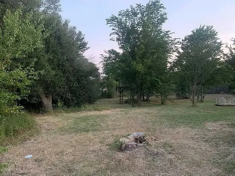 #3