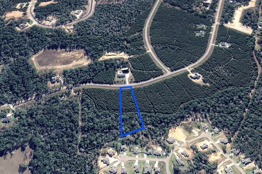15751 Ridge Rock Road, Willis, TX 77378 - #3