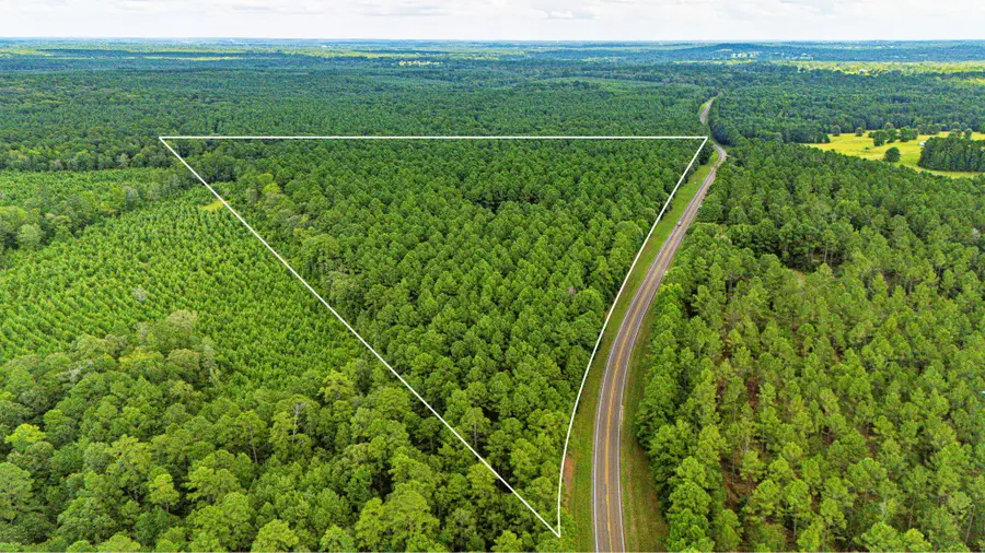 45 Acres Fm 229, Crockett, TX 75835 - #2