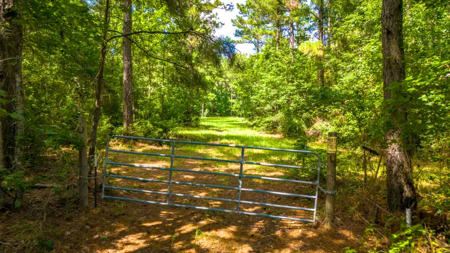 45 Acres Fm 229, Crockett, TX 75835 - #3