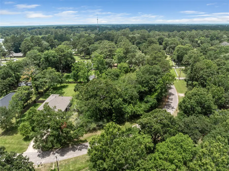 30803 Green Forest, Magnolia, TX 77354 - #2