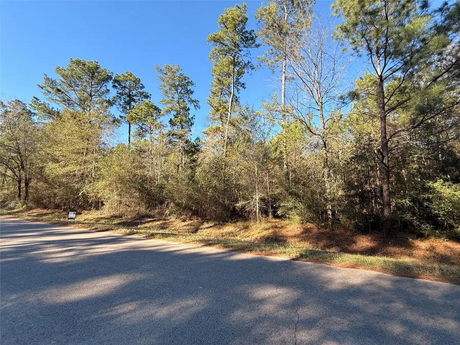 000 Parker Road, Magnolia, TX 77354 - Image #2