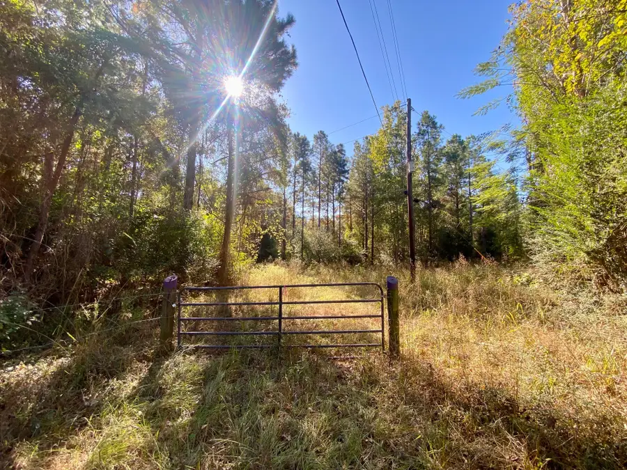 TBD Cr 2265, Grapeland, TX 75844 - Image #2