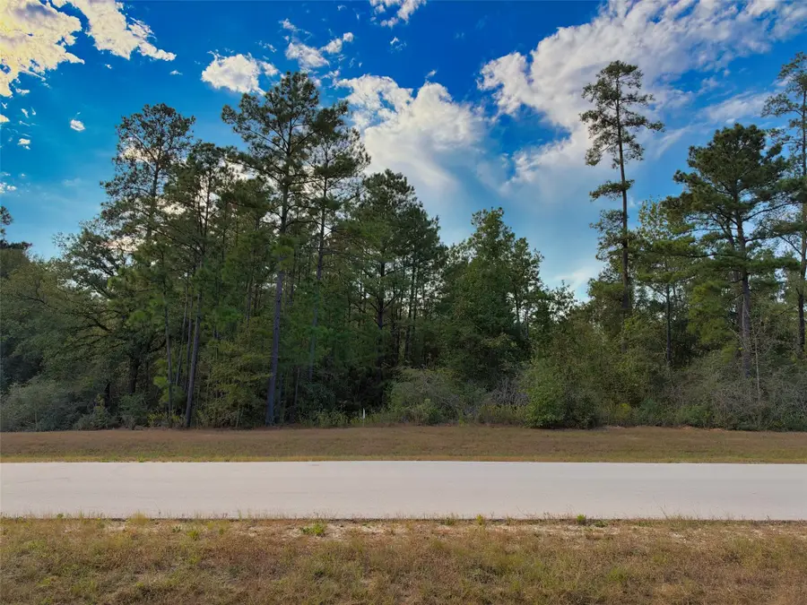 329 Exploration Road, Willis, TX 77378 - #2
