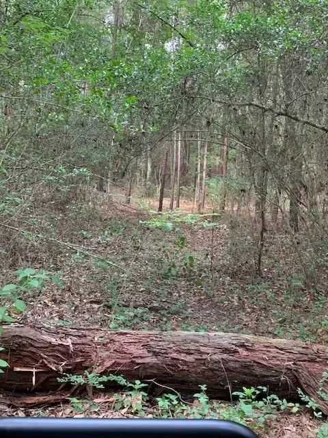 00 Bailey Grove Road, Montgomery, TX 77356 - Image #2