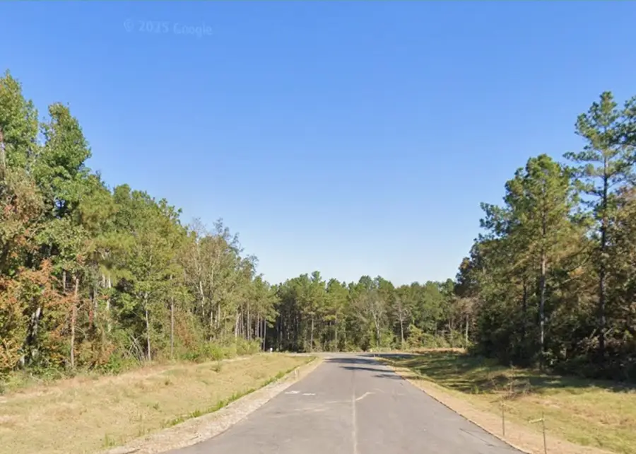 4601 High Meadow West Court, Montgomery, TX 77316 - #2