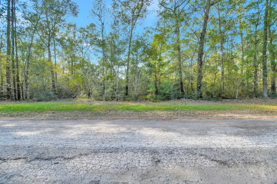100 Virginia Creek, Coldspring, TX 77331 - Image #3