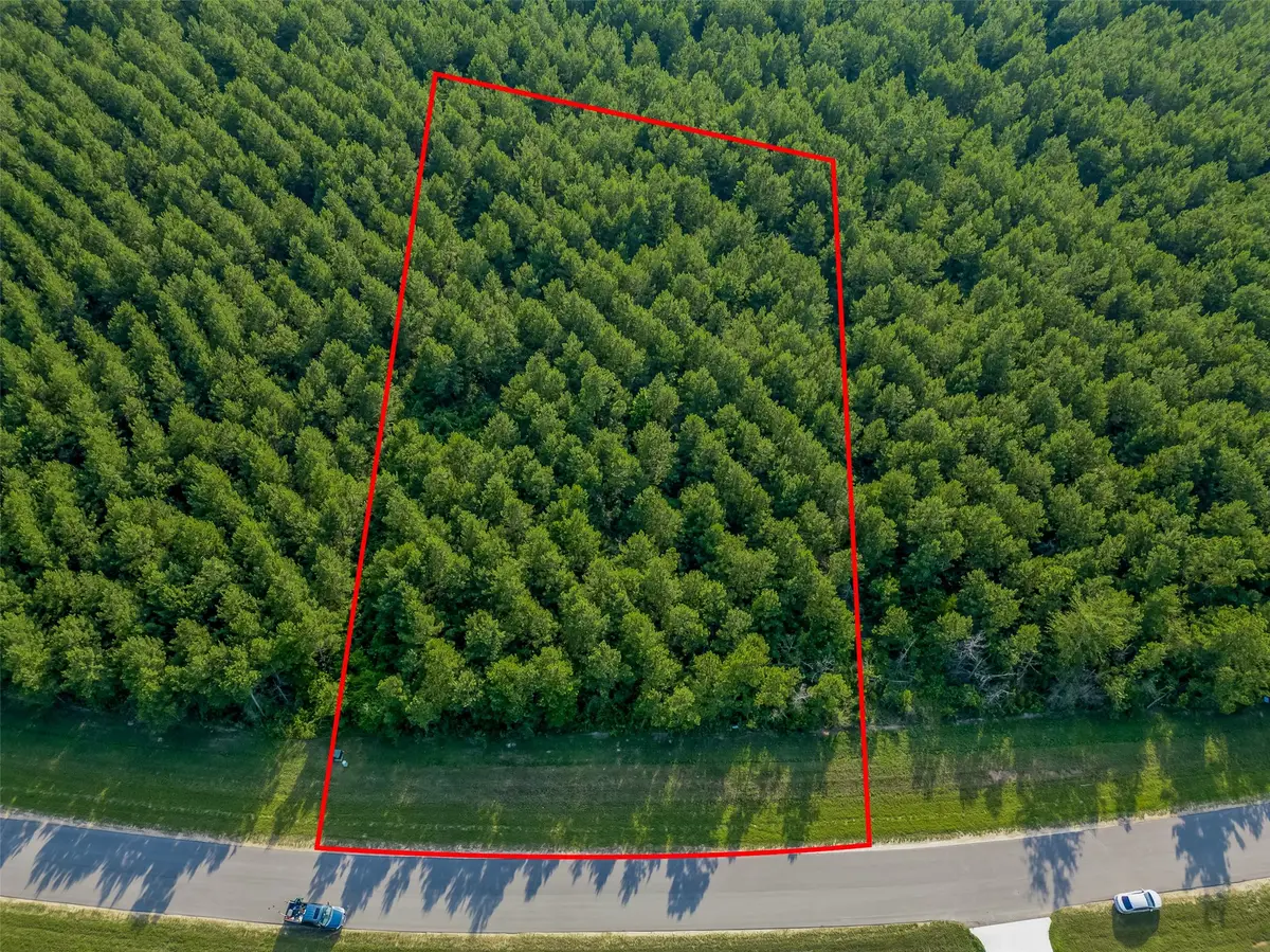 15743 Wooded Trail Way, Willis, TX 77378 - #1