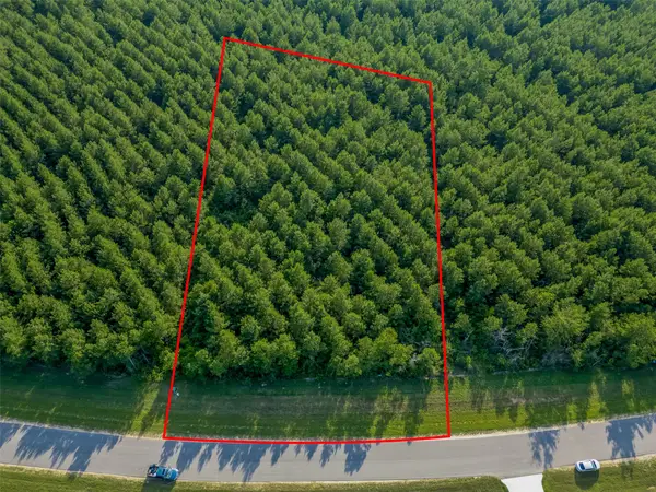 15743 Wooded Trail Way, Willis, TX 77378