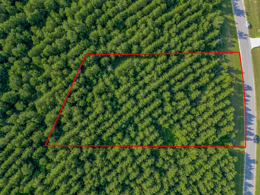 15743 Wooded Trail Way, Willis, TX 77378 - #2