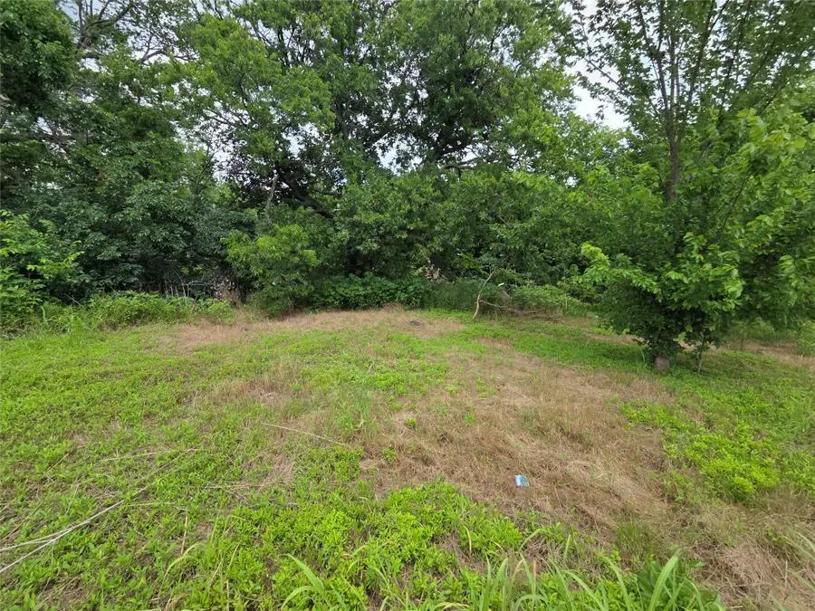 114 E Cedar Street, Whitewright, TX 75491 - #2