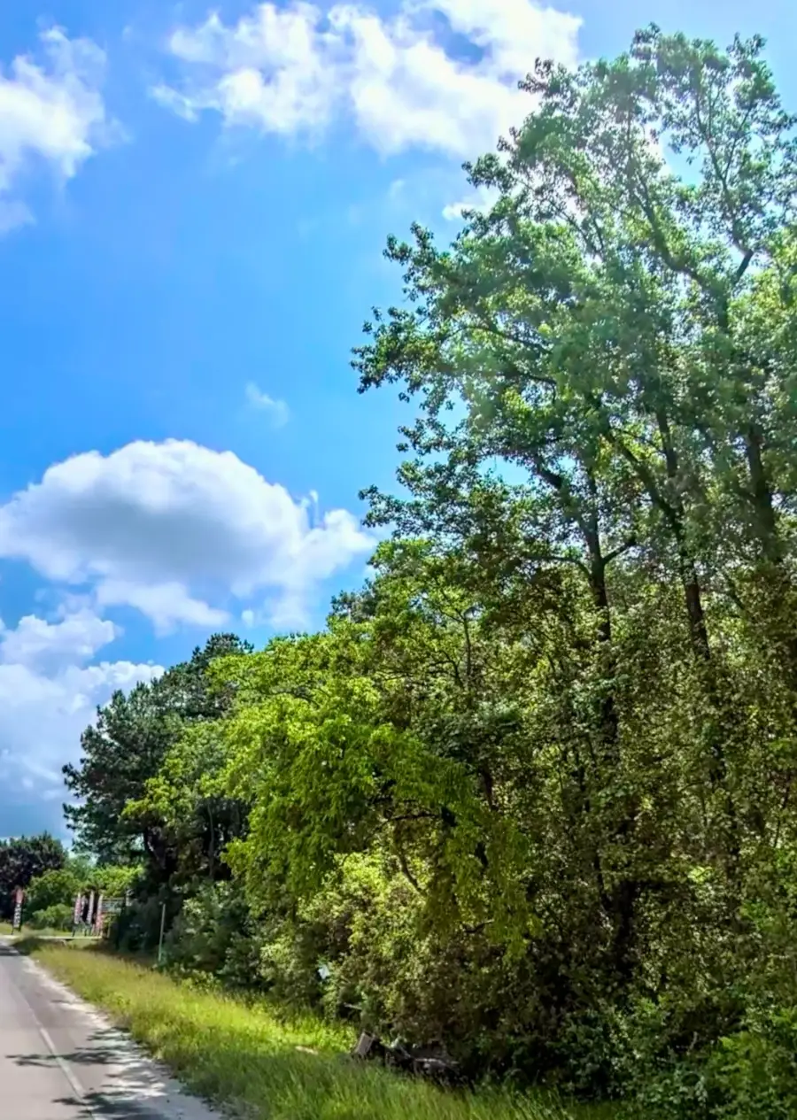 0 Gulf Pump Road, Crosby, TX 77532 - #3