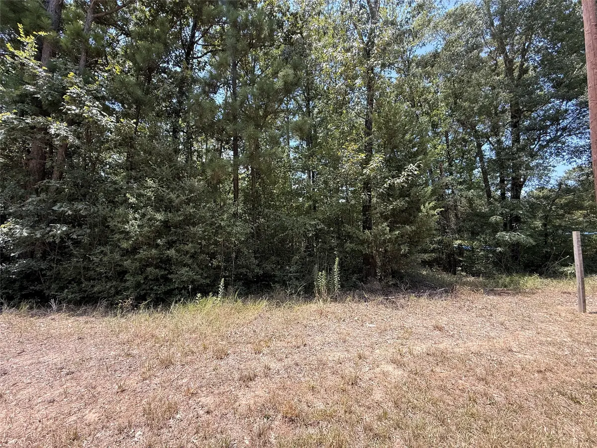 13 Quailcrest, Livingston, TX 77351 - #1