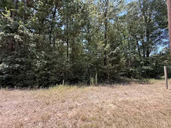 13 Quailcrest, Livingston, TX 77351