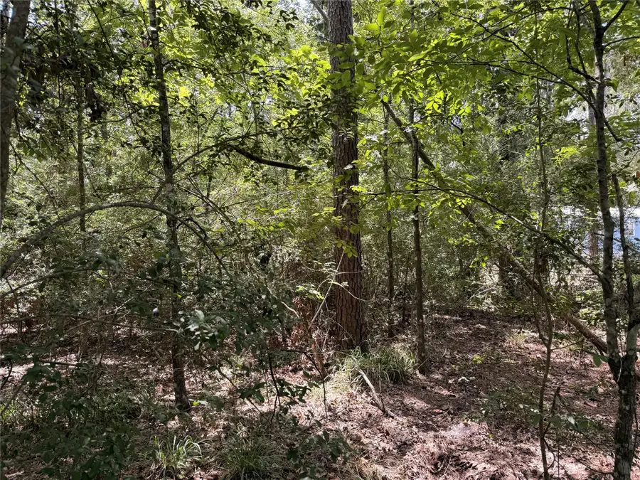 13 Quailcrest, Livingston, TX 77351 - #2