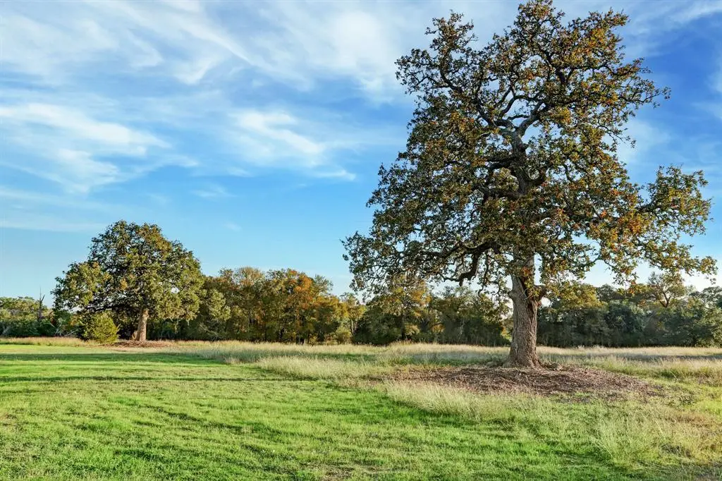 524 Hackemack Road, Round Top, TX 78954 - #1