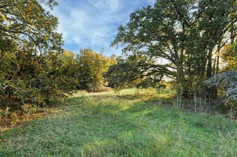 524 Hackemack Road, Round Top, TX 78954 - #3