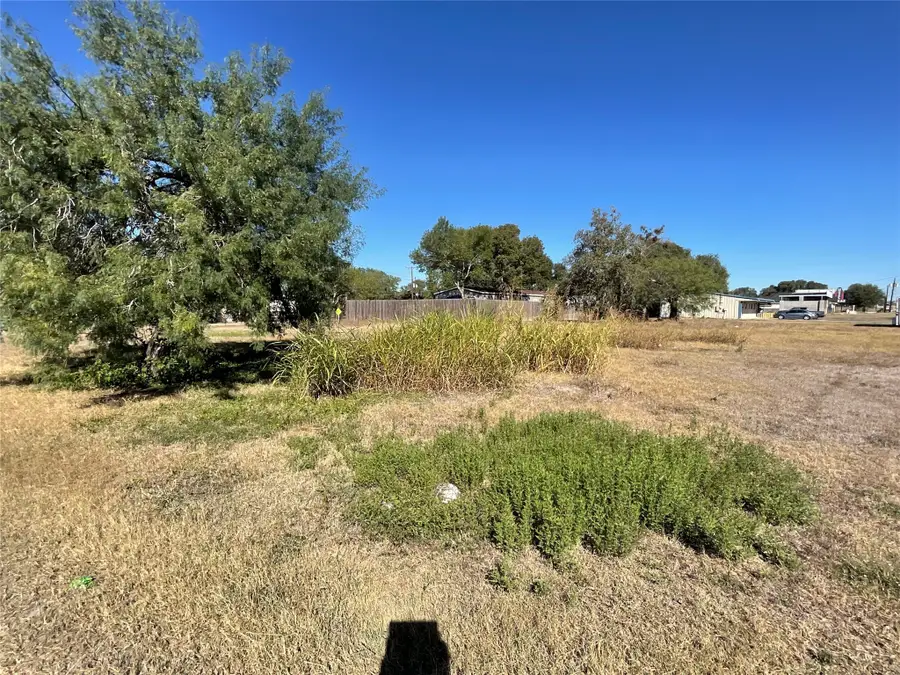 310 Stockdale Street, Cuero, TX 77954 - #2