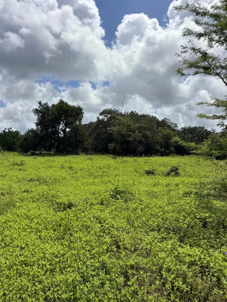 0 County Road 496, Brazoria, TX 77422 - #3