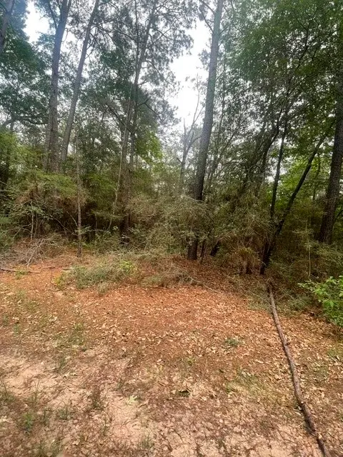 16862 Big Brave Circle, Waller, TX 77445
