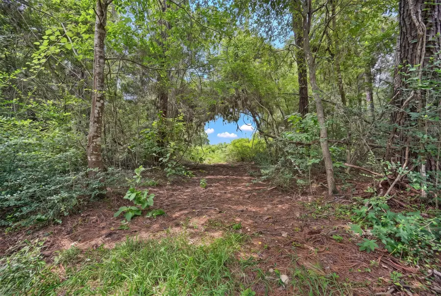 Lot Three, 3340 County Road 325, Navasota, TX 77868 - #3