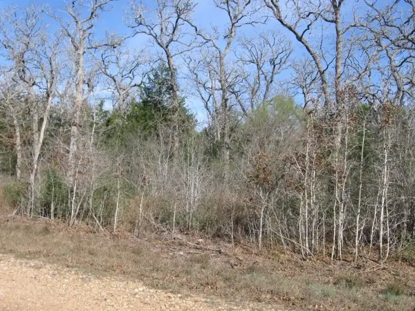 100 Rainbow Circle, Somerville, TX 77879