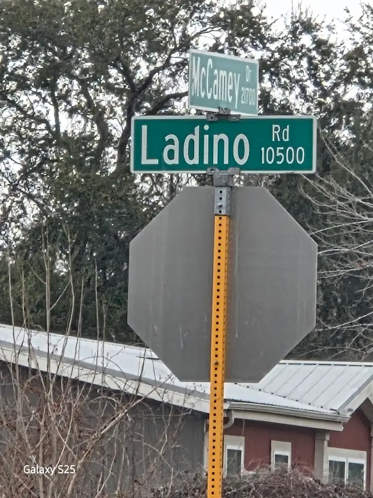 21807 Mccamey Drive, Cypress, TX 77429 - #1