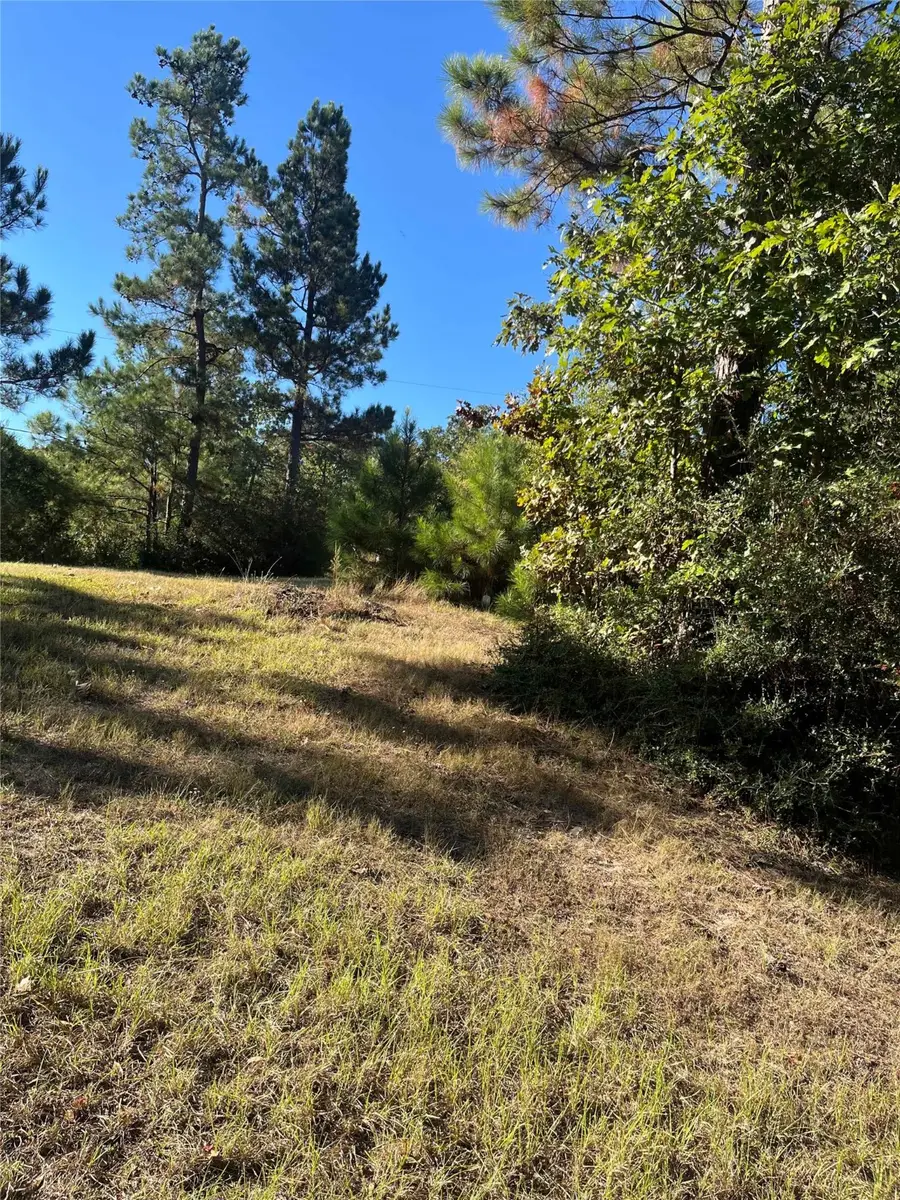 859 Creeklake Drive, Onalaska, TX 77360 - Image #3