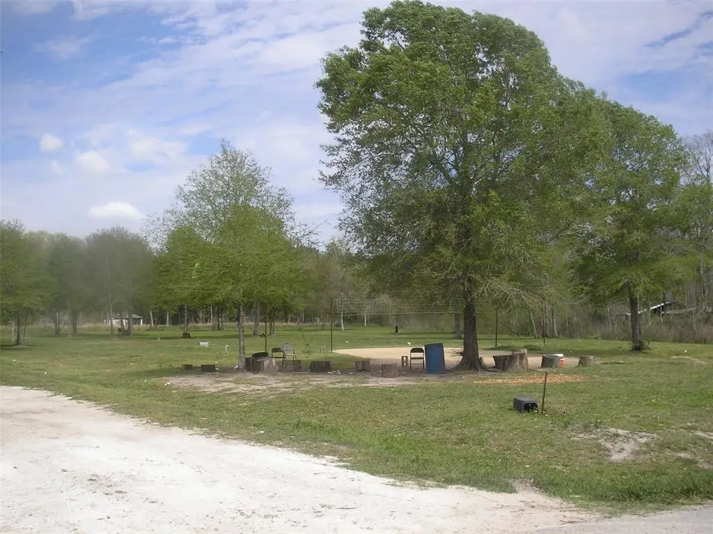 254 County Road 48761, Dayton, TX 77535 - #1