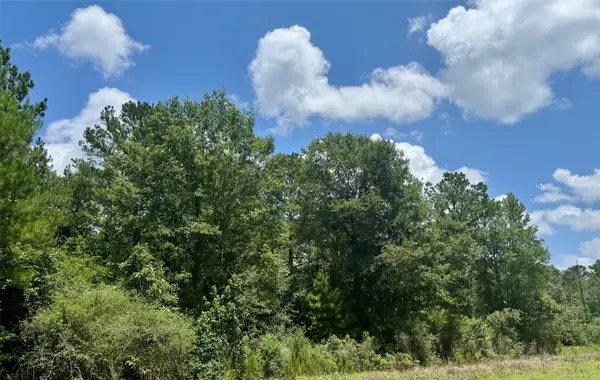 TBD Riverstone Drive, Livingston, TX 77351