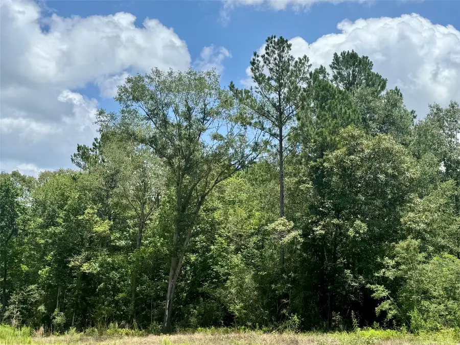 TBD Riverstone Drive, Livingston, TX 77351 - #2