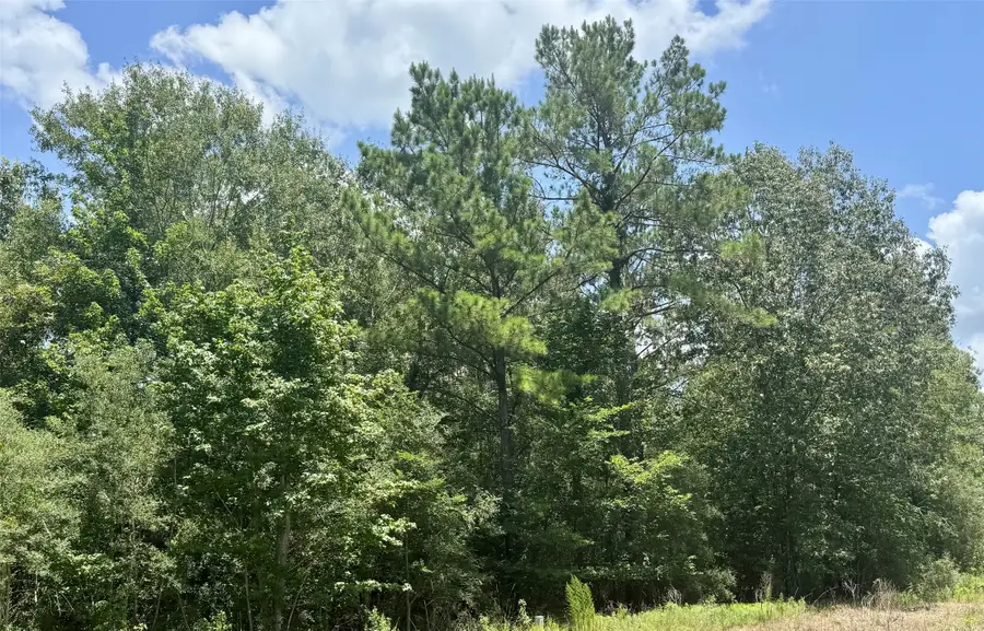 TBD Riverstone Drive, Livingston, TX 77351 - #3