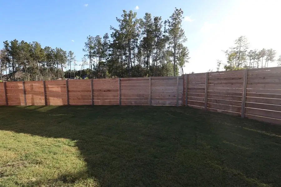 17906 Senecio Street, Conroe, TX 77302 - Image #3