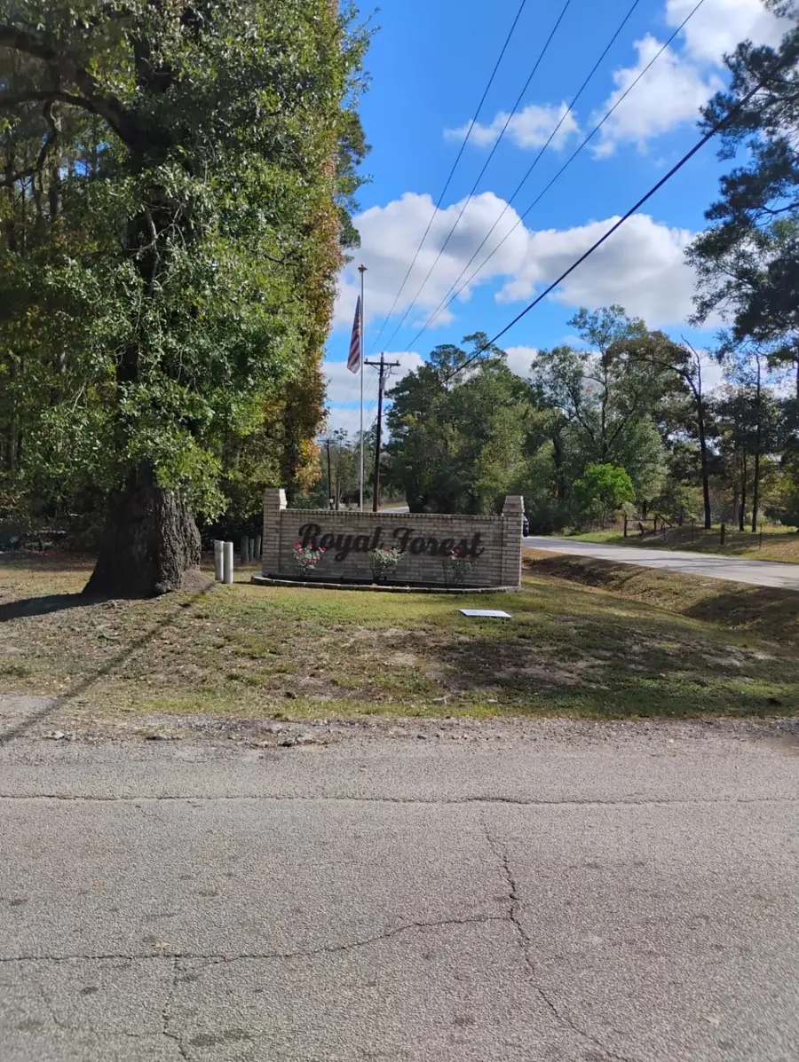 0 Royal Cullum Drive, Conroe, TX 77303 - Image #3