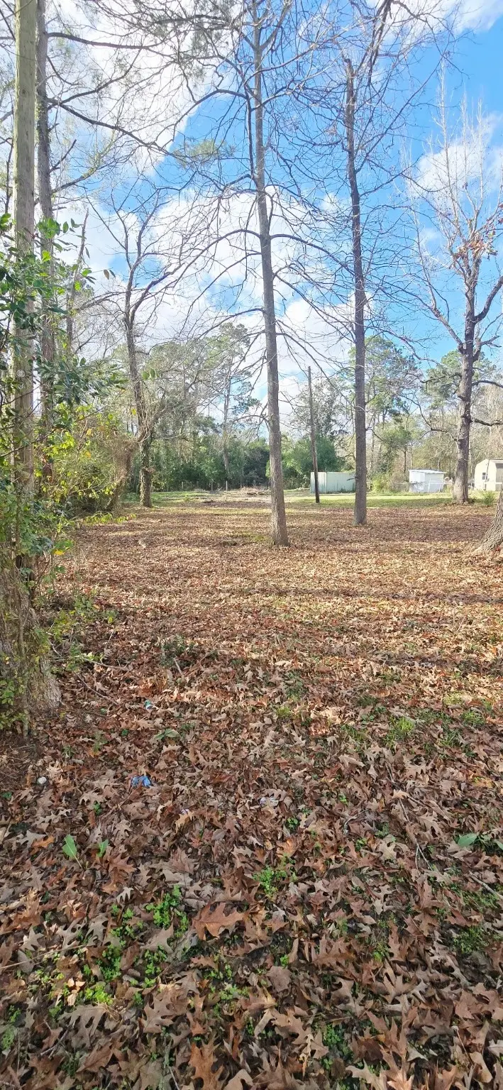 20668 Pin Oak Road, New Caney, TX 77357 - #1