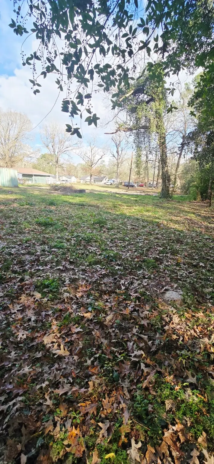 20668 Pin Oak Road, New Caney, TX 77357 - #3