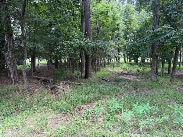 219 Brook Hollow Drive, Huntsville, TX 77340