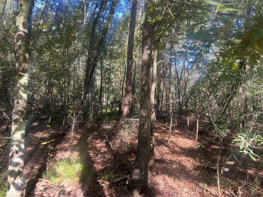 TBD Arrowhead Trail, Livingston, TX 77351 - Image #2