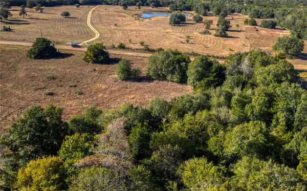 TBD-1 Greenvine Road, Brenham, TX 77833