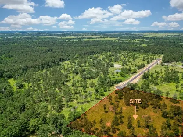 31824 Boone Road, Waller, TX 77484