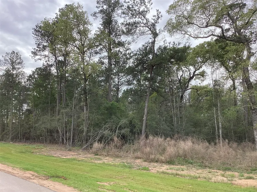 19844 Whispering Creek Trail, Magnolia, TX 77355 - #2