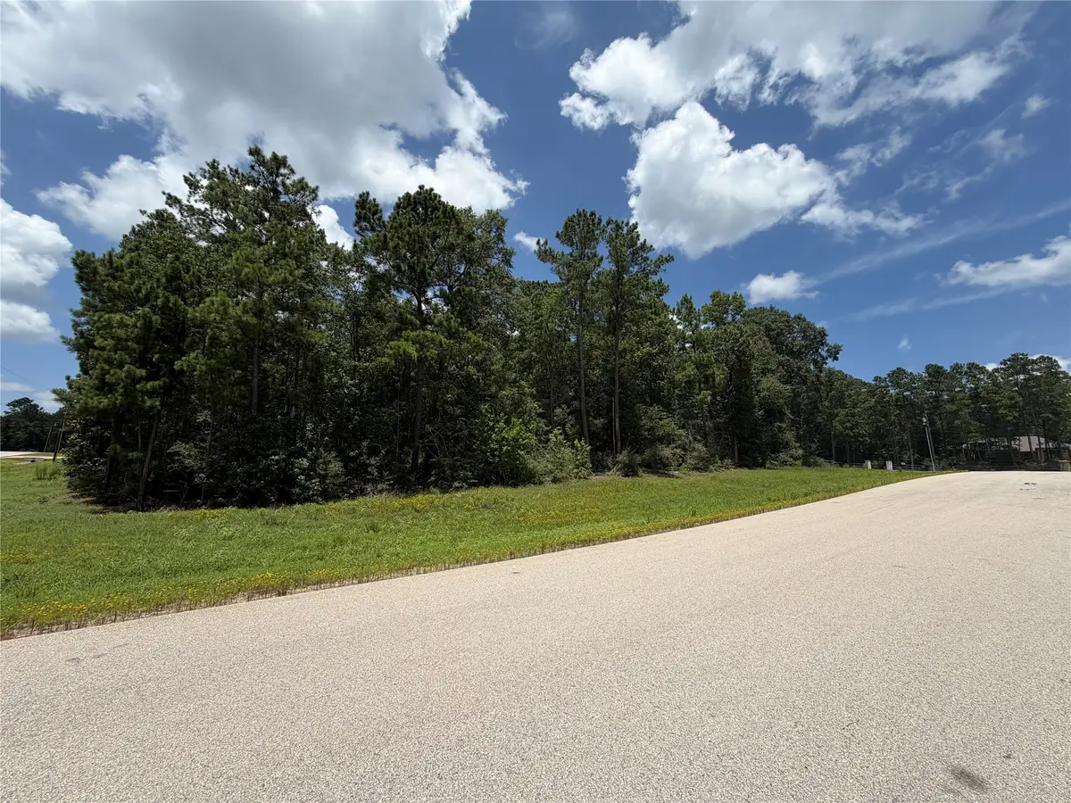 93-23-11 Sanctuary Road, Huntsville, TX 77340 - #1