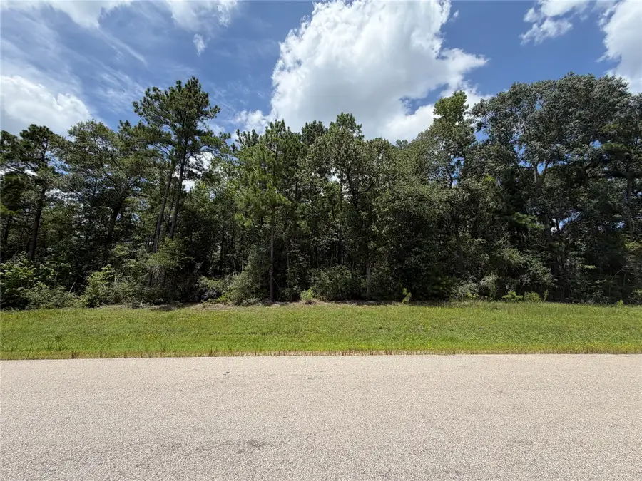 93-23-11 Sanctuary Road, Huntsville, TX 77340 - #2