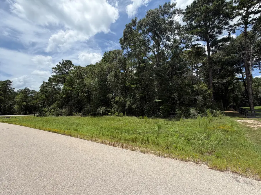 93-23-11 Sanctuary Road, Huntsville, TX 77340 - #3