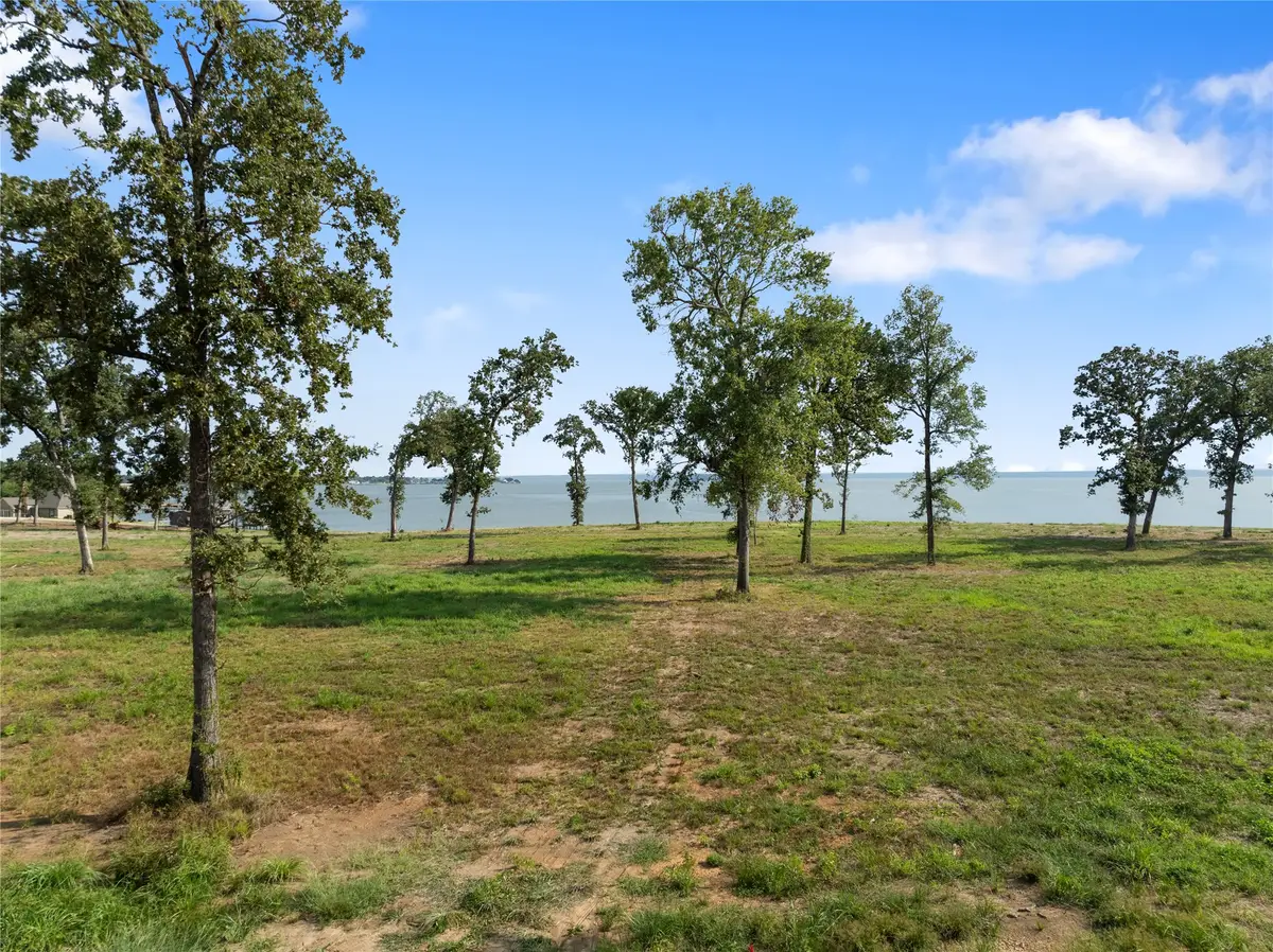 Lot 4 Island View, Livingston, TX 77351 - Image #1