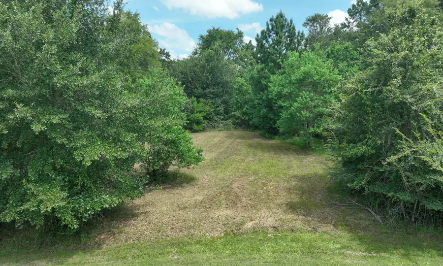 18718 Connie Avenue, Magnolia, TX 77355 - #2