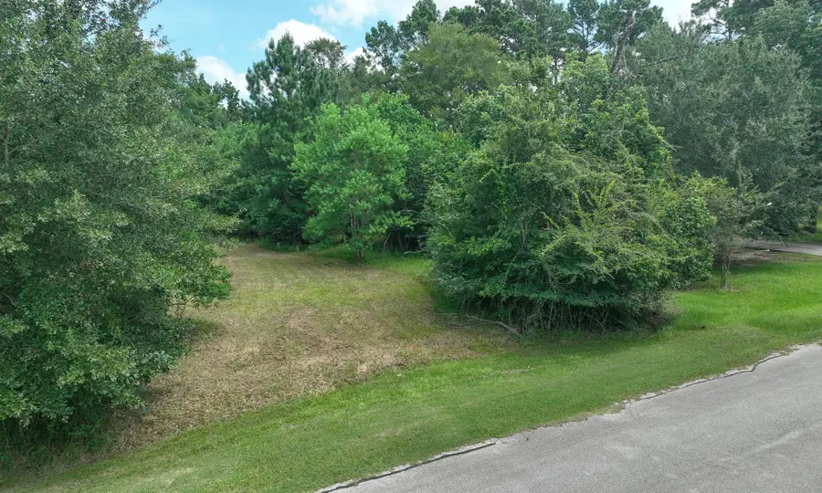 18718 Connie Avenue, Magnolia, TX 77355 - #3
