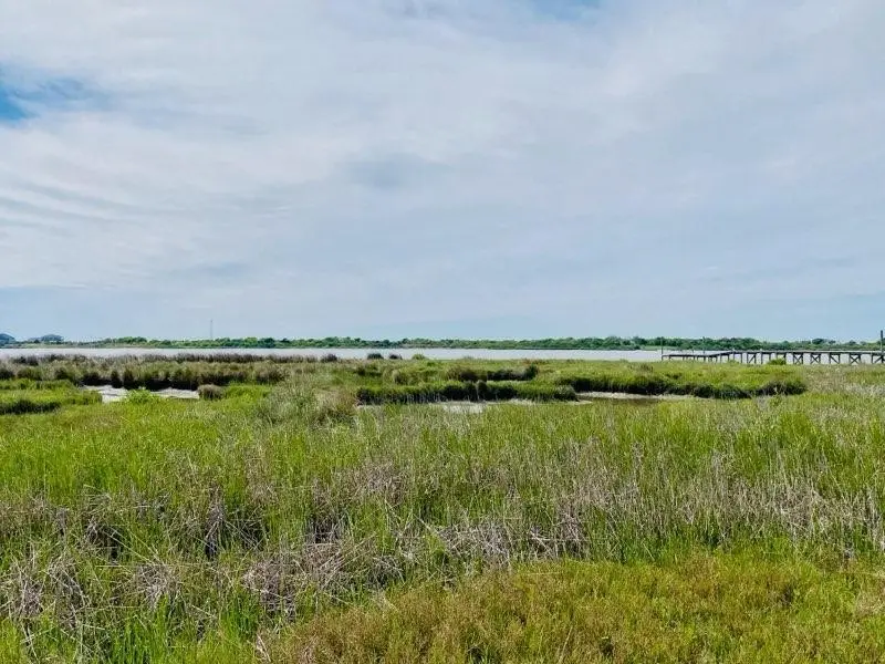 1140 E Bayshore, Palacios, TX 77465 - #2