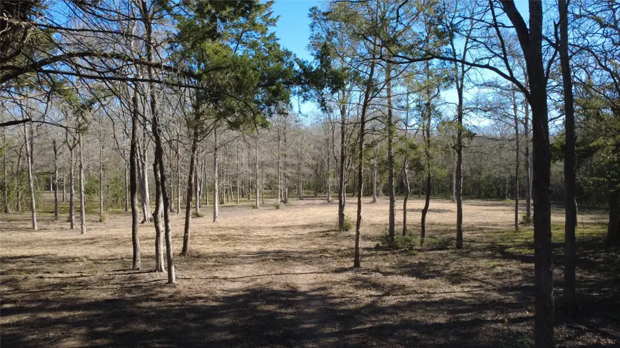 8272 Timber Bridge Lane, Chappell Hill, TX 77426 - #2